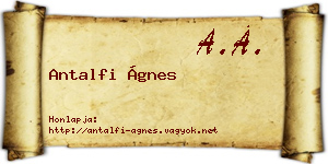 Antalfi Ágnes névjegykártya